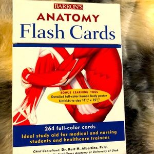 Anatomy flash card set